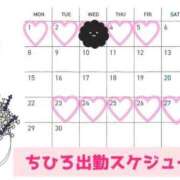ヒメ日記 2026/06/02 18:15 投稿 【G】ちひろ ウルトラセレブリティ