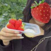 ヒメ日記 2026/03/20 11:12 投稿 るな アラモード