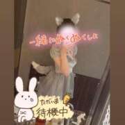 ヒメ日記 2026/02/07 15:38 投稿 ともか SPIN(スピン)