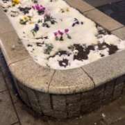 ヒメ日記 2026/02/10 14:22 投稿 一ノ瀬さつき 渋谷ガーデン