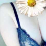 ヒメ日記 2026/02/16 23:19 投稿 まお 西船巨乳ぽっちゃり　乳神さま