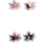 ヒメ日記 2026/02/17 10:03 投稿 みゆき 池袋角海老