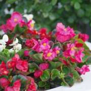 はるか お休み😴 品川ミセスアロマ（ユメオト）