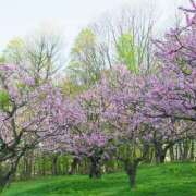 ヒメ日記 2026/02/28 21:11 投稿 はるか 品川ミセスアロマ（ユメオト）