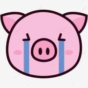 ヒメ日記 2026/03/14 18:05 投稿 みき 錦糸町ぽちゃカワ女子専門店！我慢できないの！