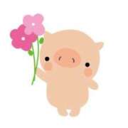 ヒメ日記 2026/03/14 19:25 投稿 みき 錦糸町ぽちゃカワ女子専門店！我慢できないの！