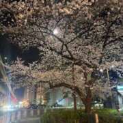 ヒメ日記 2026/03/31 08:00 投稿 みき 錦糸町ぽちゃカワ女子専門店！我慢できないの！