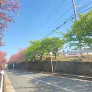 ヒメ日記 2026/03/30 08:12 投稿 上杉アミン(うえすぎあみん) 五十路マダムエクスプレス厚木店(カサブランカグループ)