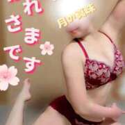 ヒメ日記 2026/02/19 21:18 投稿 大原みかこ 月の真珠-新宿-