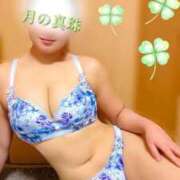 ヒメ日記 2026/04/02 07:51 投稿 大原みかこ 月の真珠-新宿-