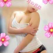 ヒメ日記 2026/04/02 22:39 投稿 大原みかこ 月の真珠-新宿-