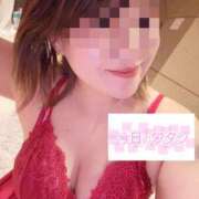 ヒメ日記 2026/02/02 20:12 投稿 花鈴(かりん) 可憐な妻たち 太田店