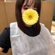 ヒメ日記 2026/02/12 18:46 投稿 HARUKA さくらん東京