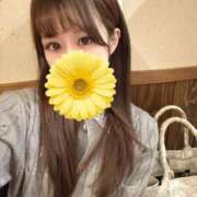 ヒメ日記 2026/03/08 21:02 投稿 HARUKA さくらん東京