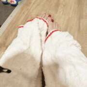 ヒメ日記 2026/02/10 07:00 投稿 むく 京都祇園・南インターちゃんこ