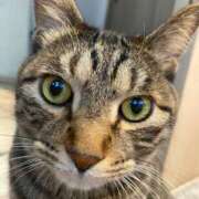 ヒメ日記 2026/01/14 18:06 投稿 らら 妊婦母乳風俗専門店ミルクランド