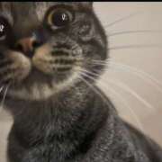 ヒメ日記 2026/02/01 16:58 投稿 まゆ チョコメロ