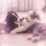 ヒメ日記 2026/02/08 17:00 投稿 まゆ チョコメロ