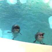 まゆ 出勤🌟 チョコメロ