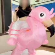 ヒメ日記 2026/07/02 20:09 投稿 うの モアグループ神栖人妻花壇