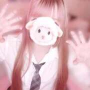 ヒメ日記 2026/02/07 11:05 投稿 さくら ビデオdeはんど 横浜校