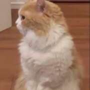 ヒメ日記 2026/01/21 16:15 投稿 るり 新宿・本格コスプレ美人秘書オフィスイメクラ「秘書課女子」