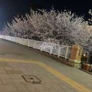 ヒメ日記 2026/04/06 20:45 投稿 あみ BARUBORA熊本店
