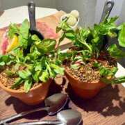 ヒメ日記 2026/04/22 00:32 投稿 瀬名（せな） 丸妻 錦糸町店