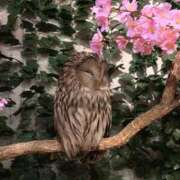 ヒメ日記 2026/01/15 11:45 投稿 あやか 無我（むが）