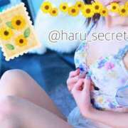 ヒメ日記 2026/08/14 10:03 投稿 はる【圧倒的人気No1】 仙台大人の秘密倶楽部