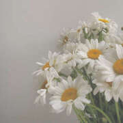 ヒメ日記 2026/01/23 08:46 投稿 ぷりん メイドde本舗