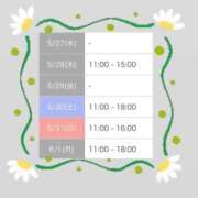 ヒメ日記 2026/05/27 11:03 投稿 まつり ルピナス