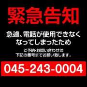 ヒメ日記 2026/09/07 18:29 投稿 杉浦 かなめ クラブダンディー