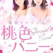 ヒメ日記 2026/03/02 16:45 投稿 ねね ドMなバニーちゃん すすきの店