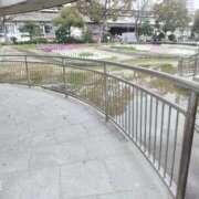 ヒメ日記 2026/03/27 00:07 投稿 すずみ 日本橋・谷九サンキュー