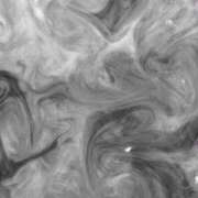 イヴ ⚠️定期⚠️ 石庭