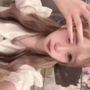ヒメ日記 2026/06/05 10:30 投稿 イヴ 石庭