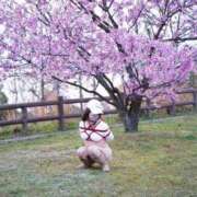 ヒメ日記 2026/03/18 08:28 投稿 あむ ご近所物語