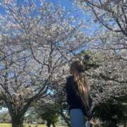 ヒメ日記 2026/04/07 20:37 投稿 あむ ご近所物語