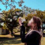 ヒメ日記 2026/04/12 18:04 投稿 あむ ご近所物語