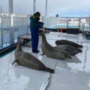 ヒメ日記 2026/03/19 01:42 投稿 はるみ オースリー