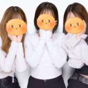 ヒメ日記 2026/04/03 20:21 投稿 はるみ オースリー