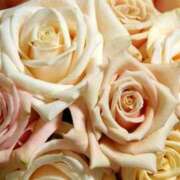 ヒメ日記 2026/03/02 19:48 投稿 白石　ひまり 雫(しずく)