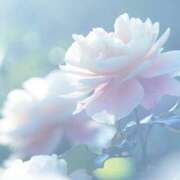 ヒメ日記 2026/01/15 18:43 投稿 宮下　さち 30・40・50代☆人妻熟女コレクション