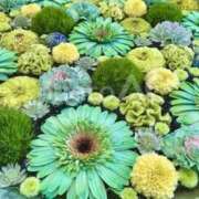 ヒメ日記 2026/01/16 14:19 投稿 宮下　さち 30・40・50代☆人妻熟女コレクション