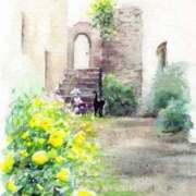 宮下　さち 待機 30・40・50代☆人妻熟女コレクション