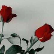 ヒメ日記 2026/01/21 14:31 投稿 宮下　さち 30・40・50代☆人妻熟女コレクション