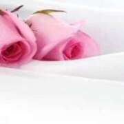 ヒメ日記 2026/01/25 08:44 投稿 宮下　さち 30・40・50代☆人妻熟女コレクション