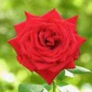 ヒメ日記 2026/02/07 09:15 投稿 宮下　さち 30・40・50代☆人妻熟女コレクション