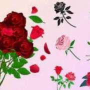 ヒメ日記 2026/02/09 09:01 投稿 宮下　さち 30・40・50代☆人妻熟女コレクション